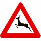 Panneau A27 — Traversée de gros gibier