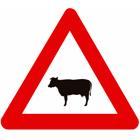 Panneau A29 — Traversée de bétail