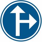 Panneau D3B — Obligation de suivre une des directions indiquées par les flèches